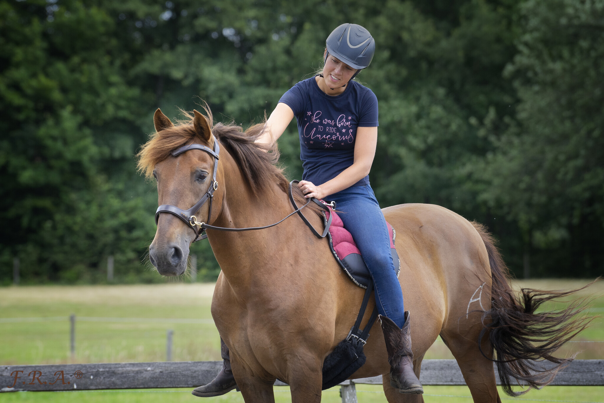 Dardo basic bareback pad