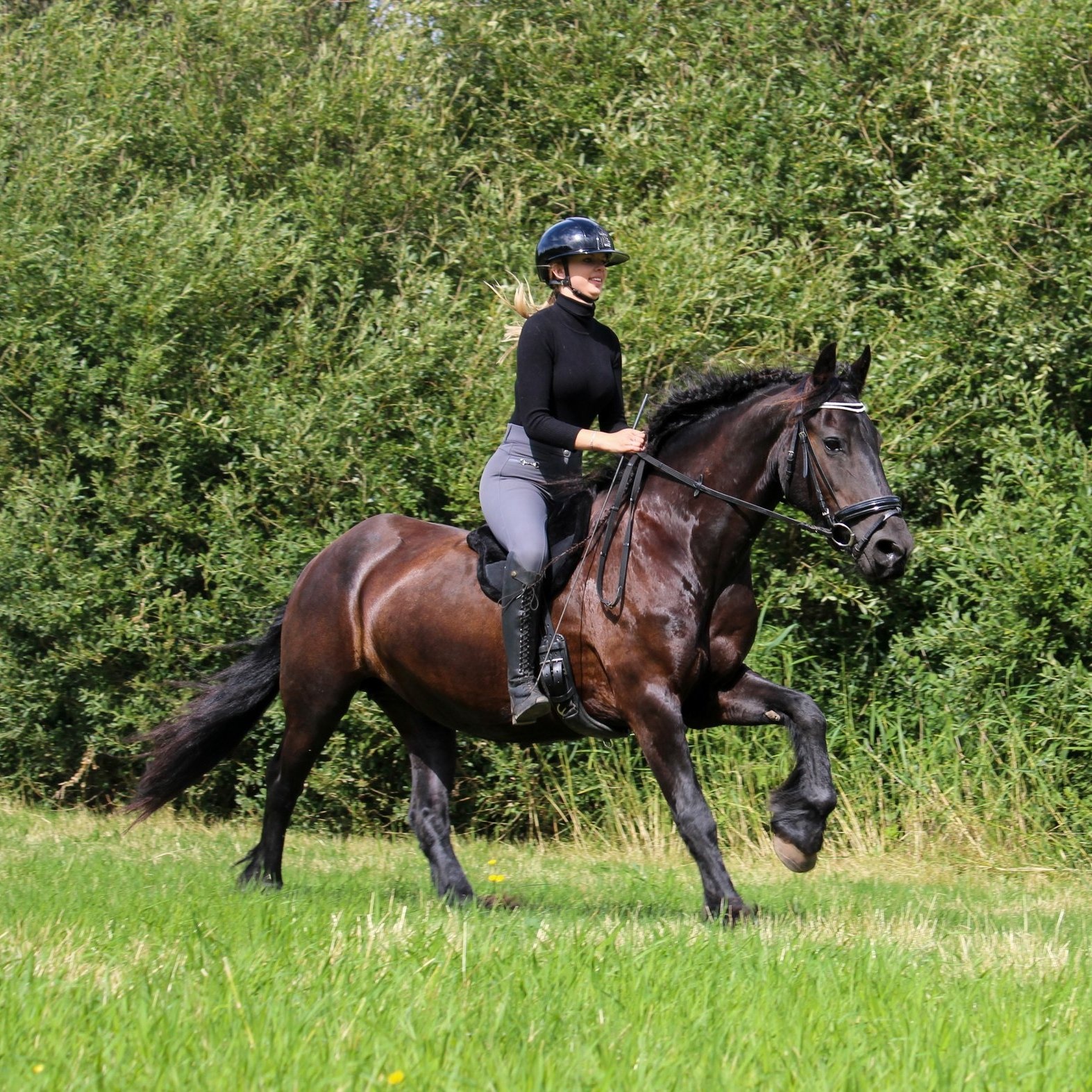 Bisco barebackpad wol