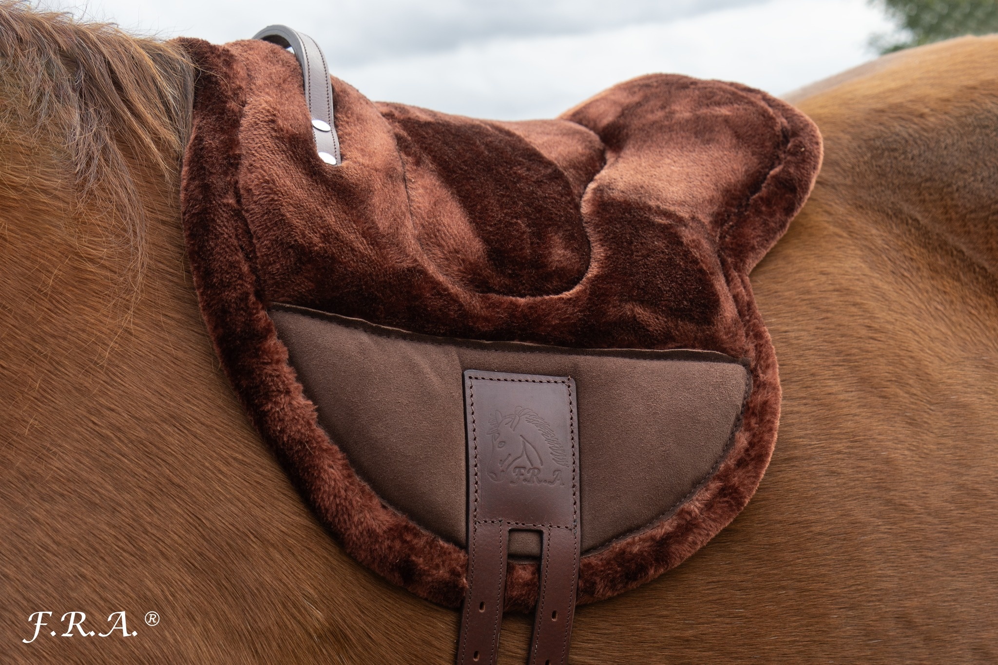 Bisco barebackpad wol