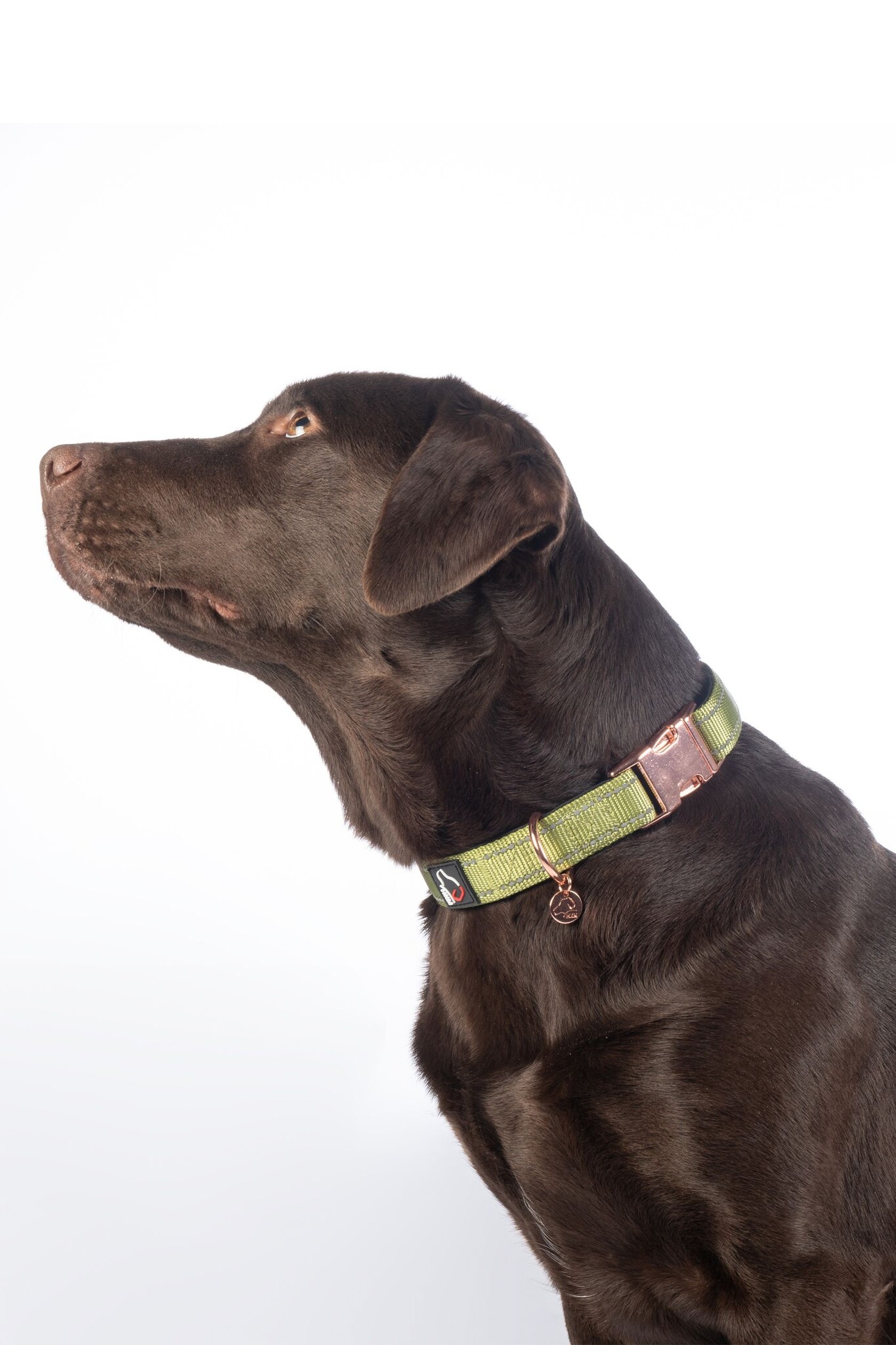Hundehalsband Ida Nylon