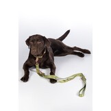 Dog leash training Qooper nylon