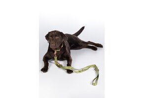 Hundetrainingsleine Qooper