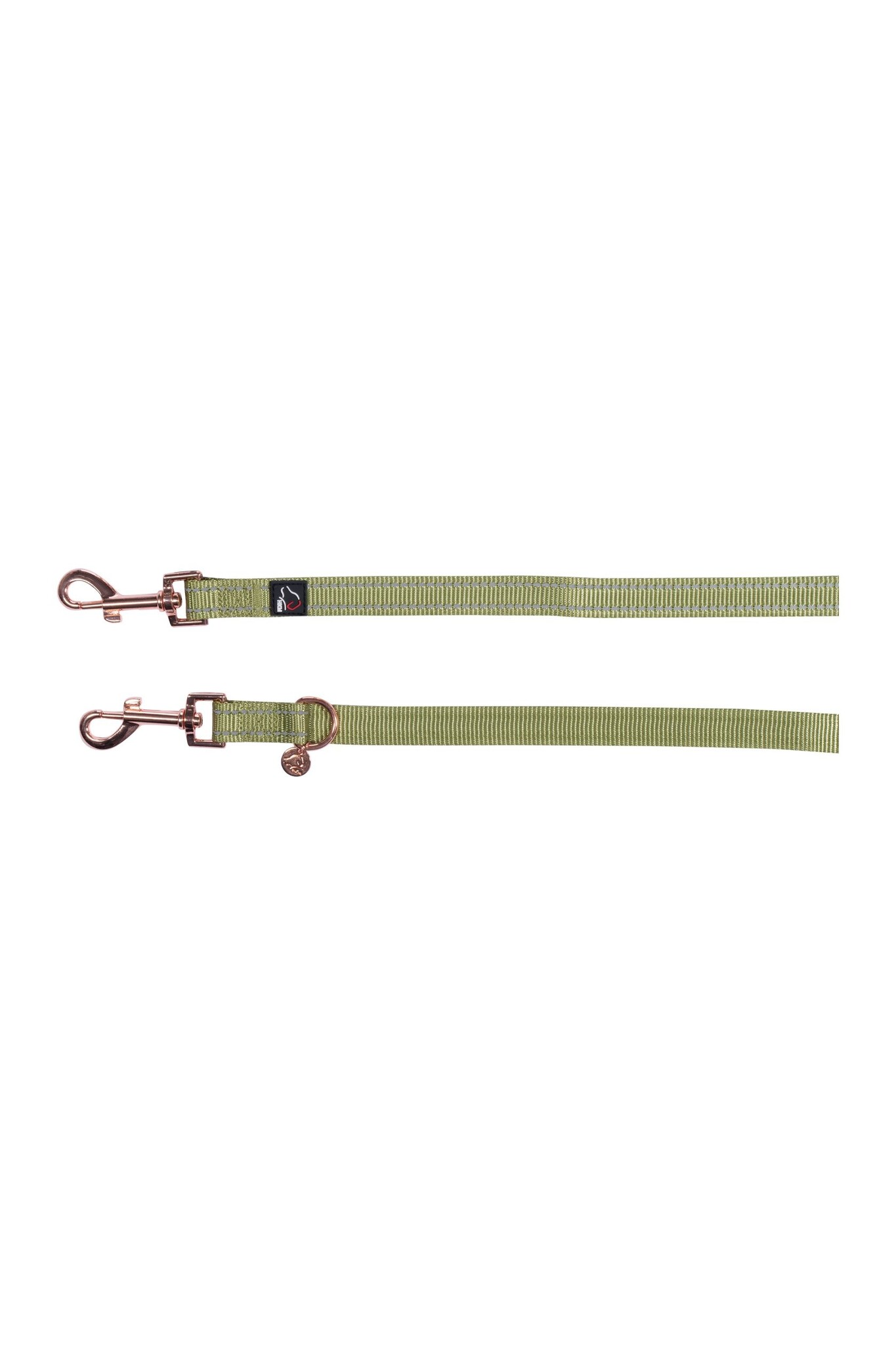 Dog leash training Qooper nylon