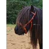 Foto-Shooting Viena Fine Kapzum Pony cognac