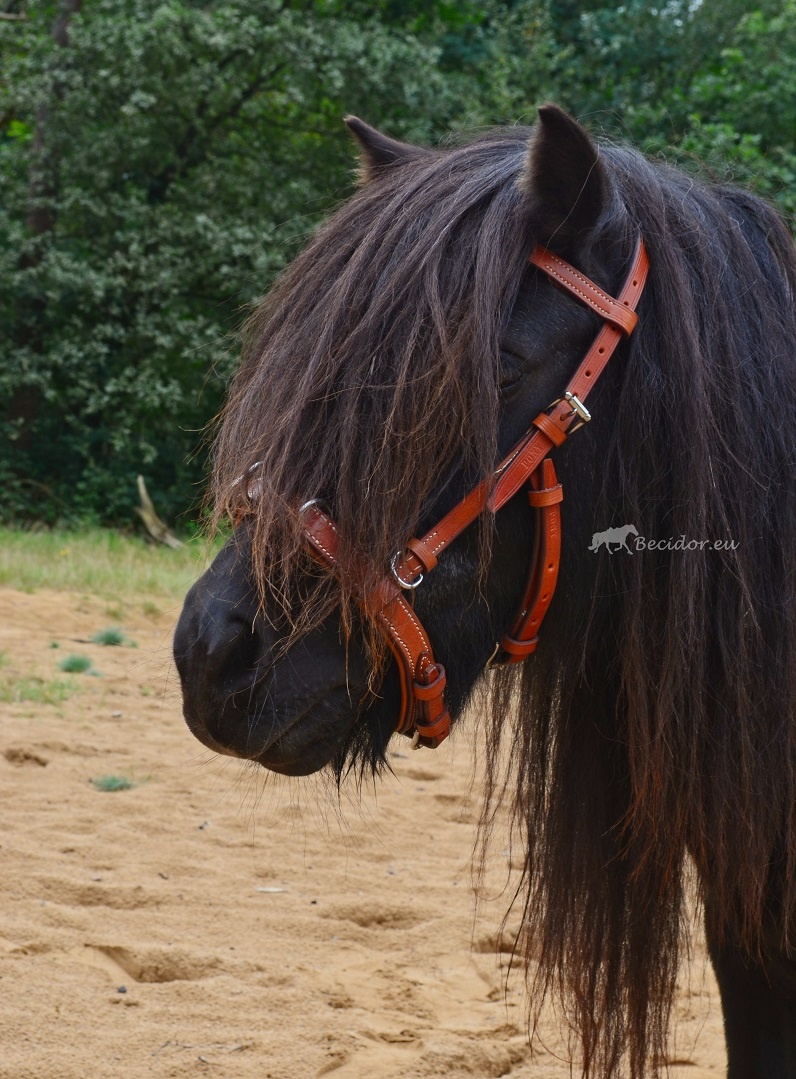 Fotoshoot Viena Fine kaptoom pony cognac