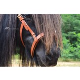 Foto-Shooting Viena Fine Kapzum Pony cognac