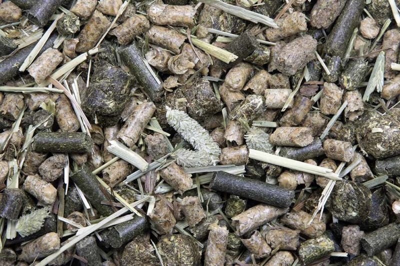 Green Balance alfalfa free