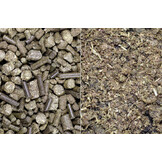 Gold Pellet oder Mash