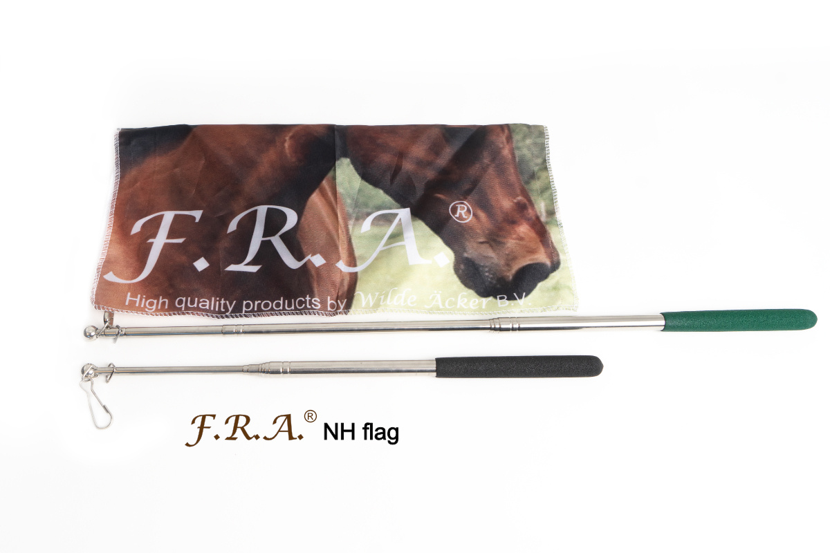 Stock mit NH Flagge Erweiterbar