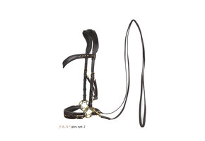Glory hackamore bitless bridle