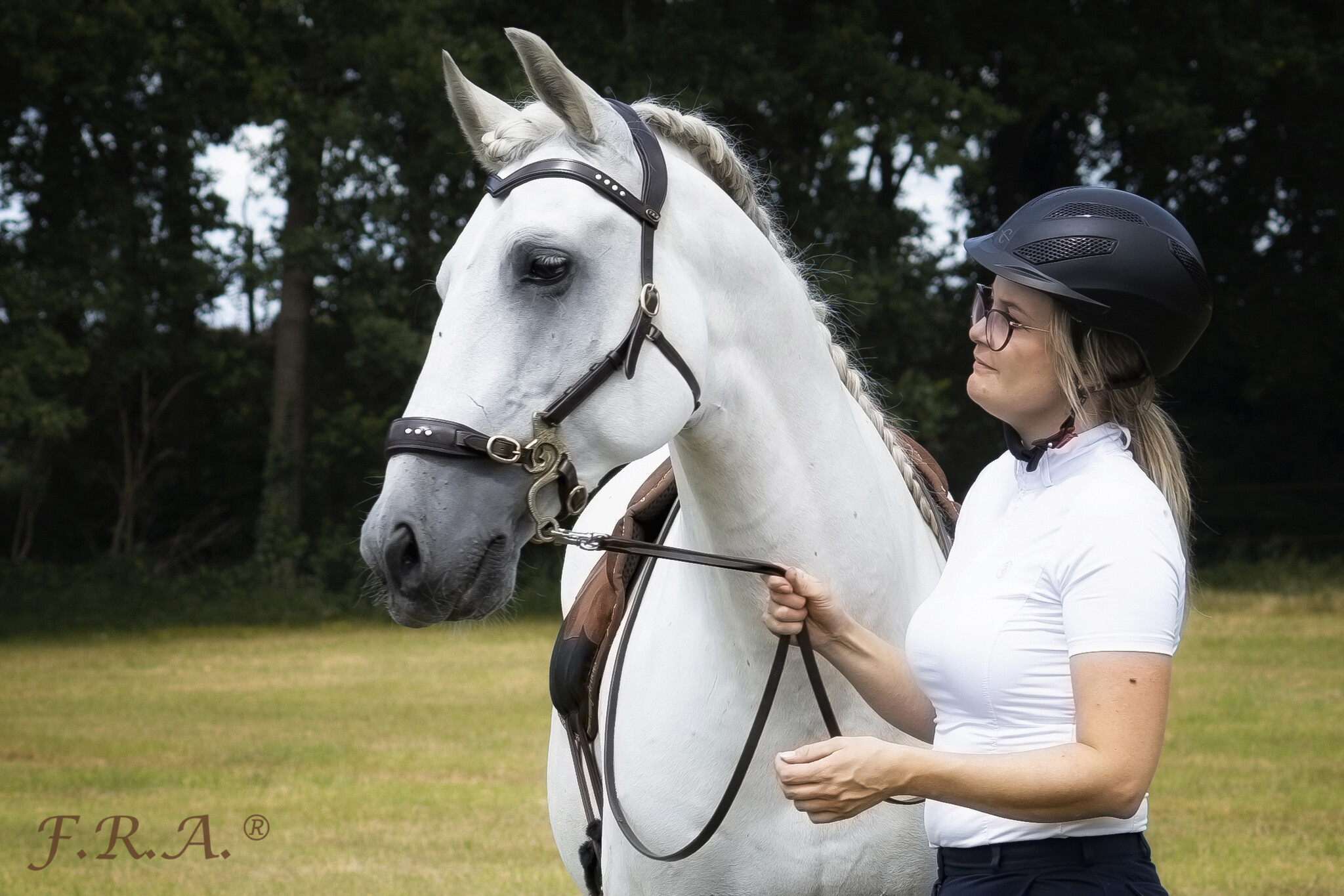 Glory Hackamore gebissloses Zaumleder