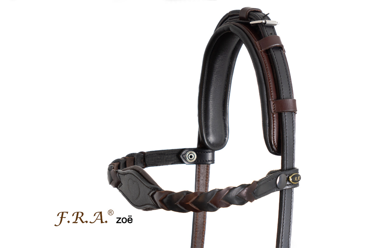 Hackamore gebisslose Zaumung Zoë