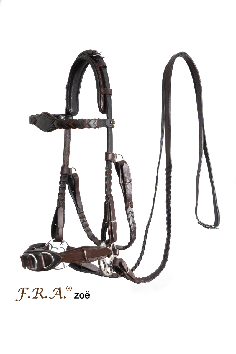 Hackamore bitless bridle Zoë