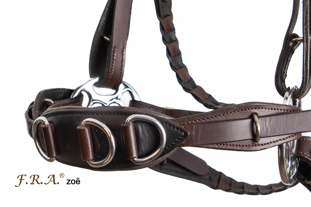 Hackamore bitless bridle Zoë