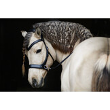 Glory sidepull bitlooshoofdstel leder