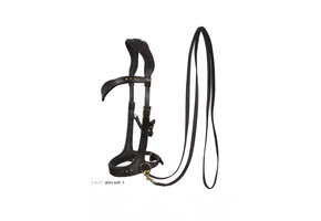 Glory sidepull bitlooshoofdstel