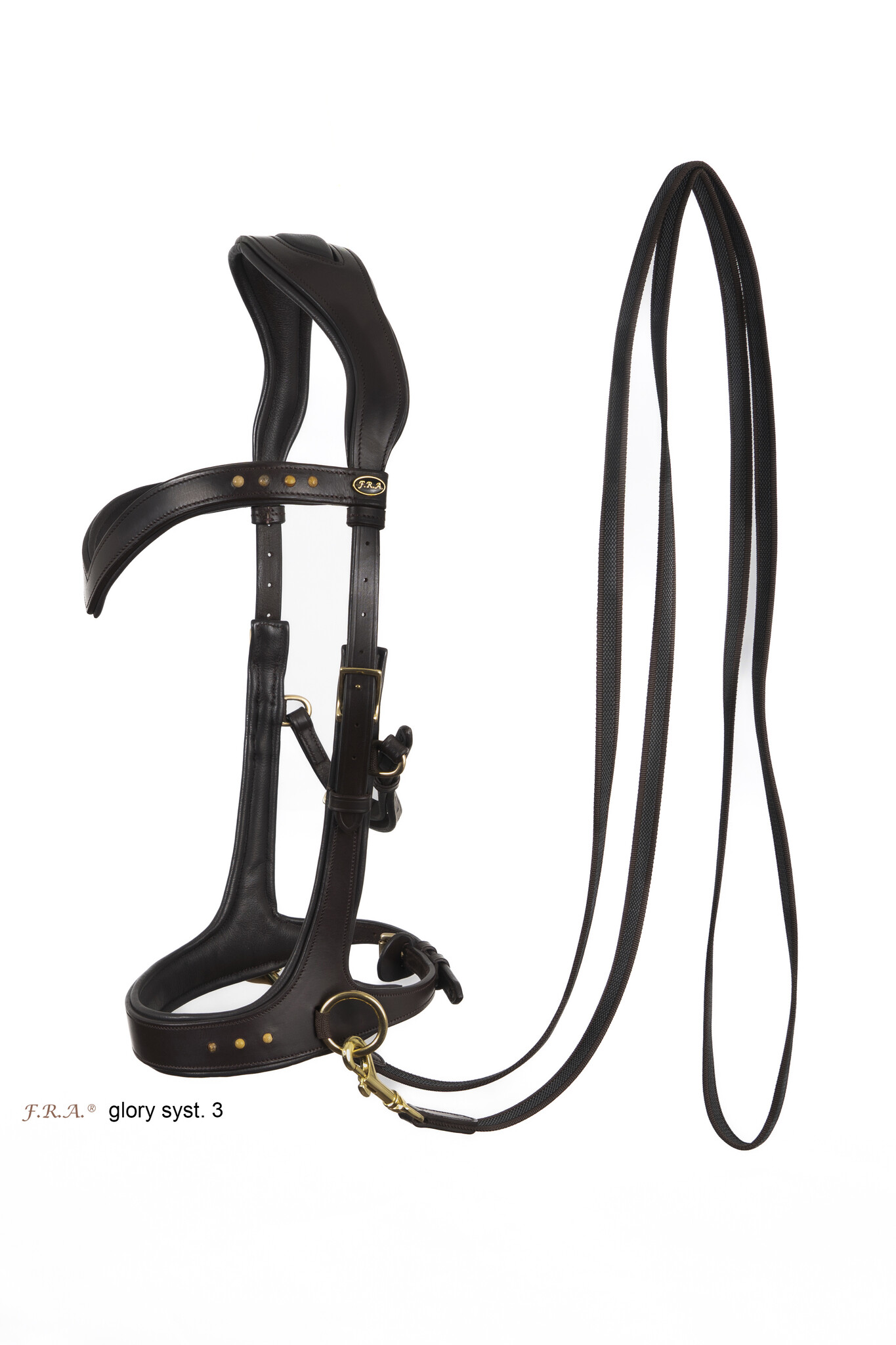 Glory sidepull bitless bridle leather