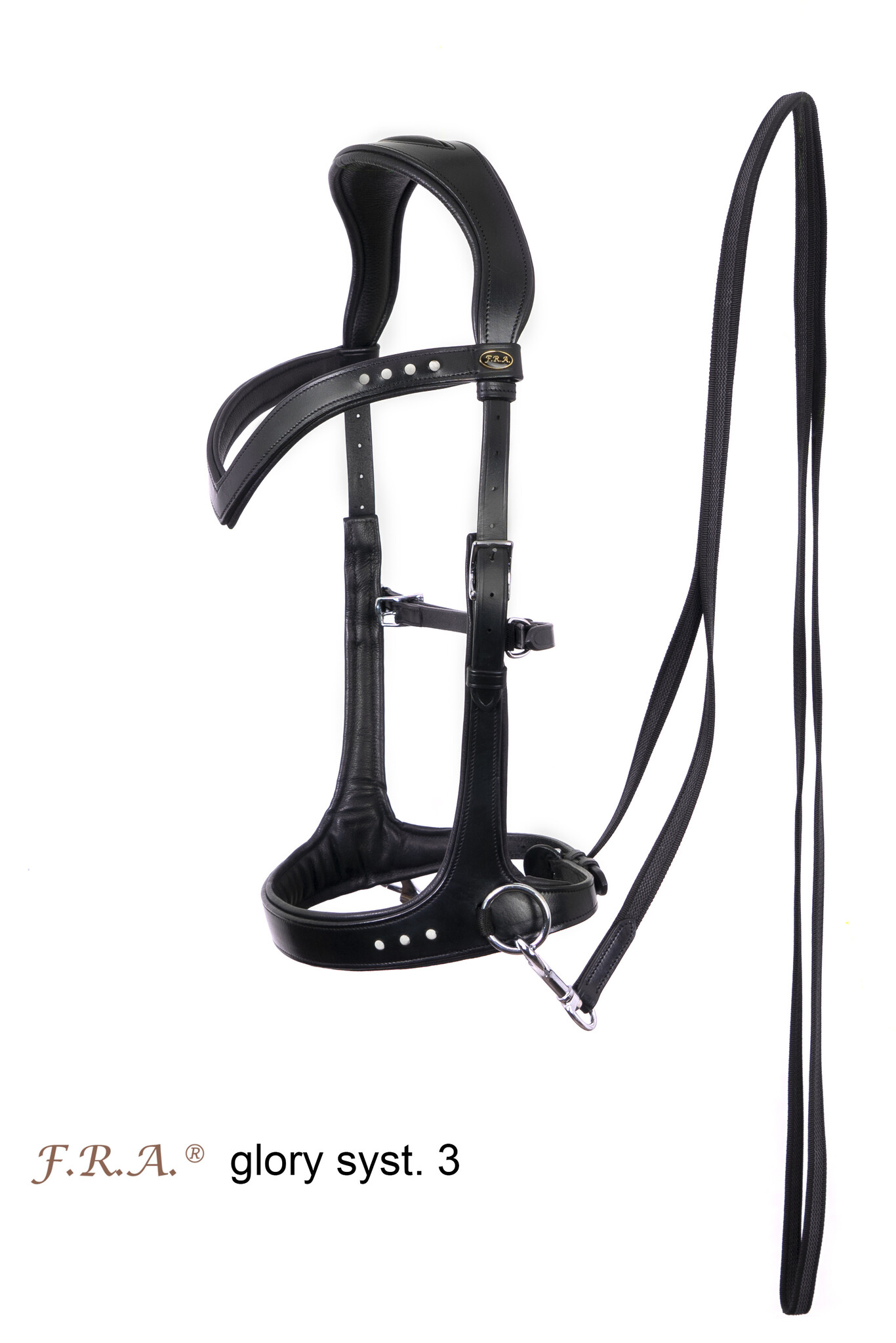 Glory sidepull bitless bridle leather