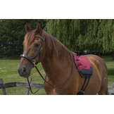Glory sidepull bitless bridle leather