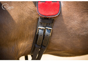 Dressage girth