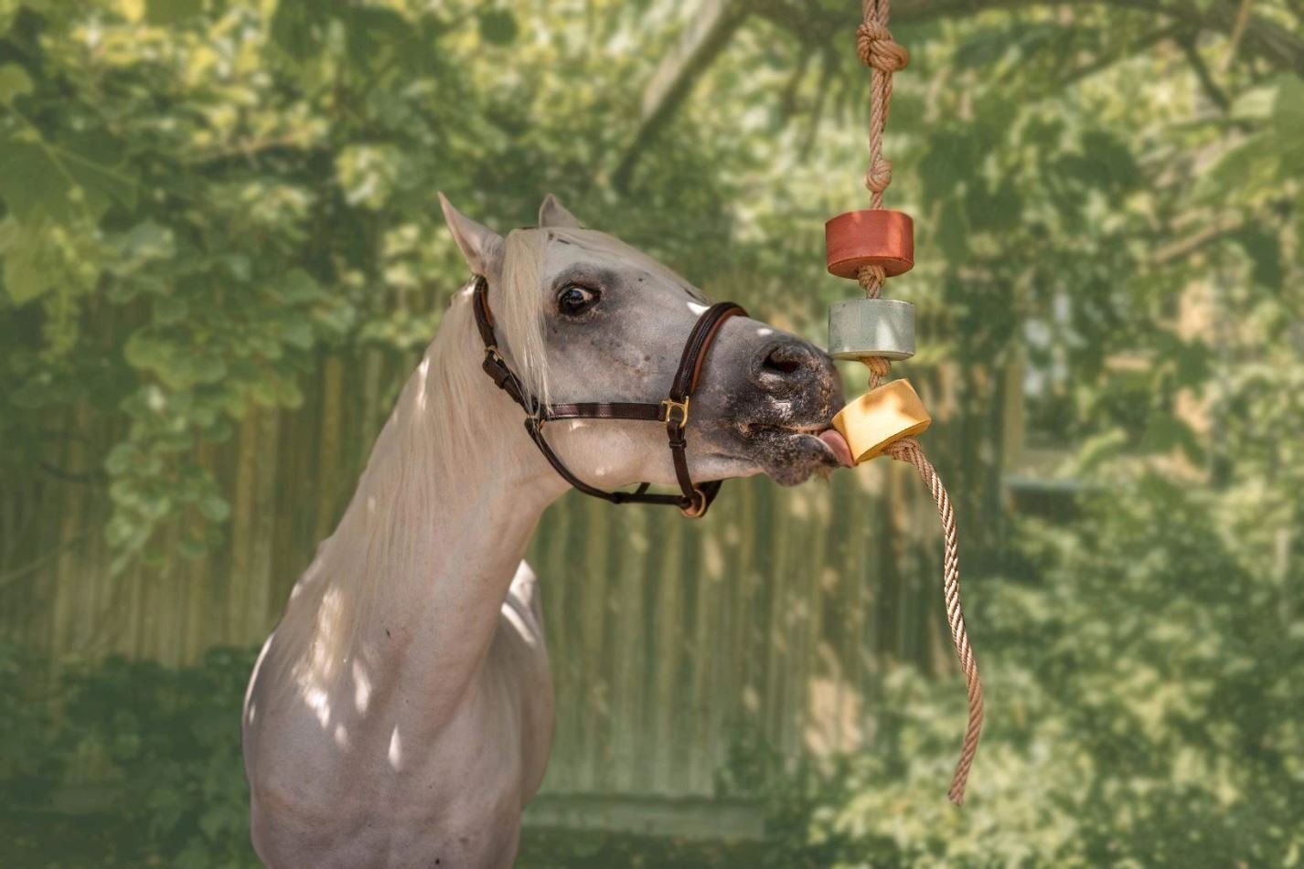 Liksteen Lolly Lick mint eucalyptus 750gr