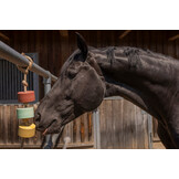 Liksteen Lolly Lick lavendel 750gr