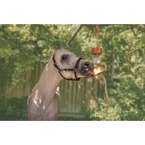 Liksteen Lolly Lick lavendel 750gr