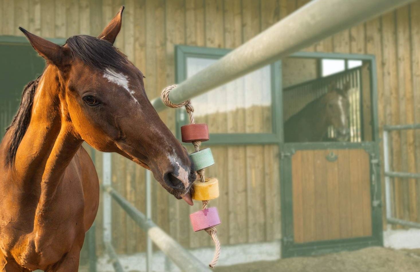 Lick block Lolly Lick vanilla banana 750gr