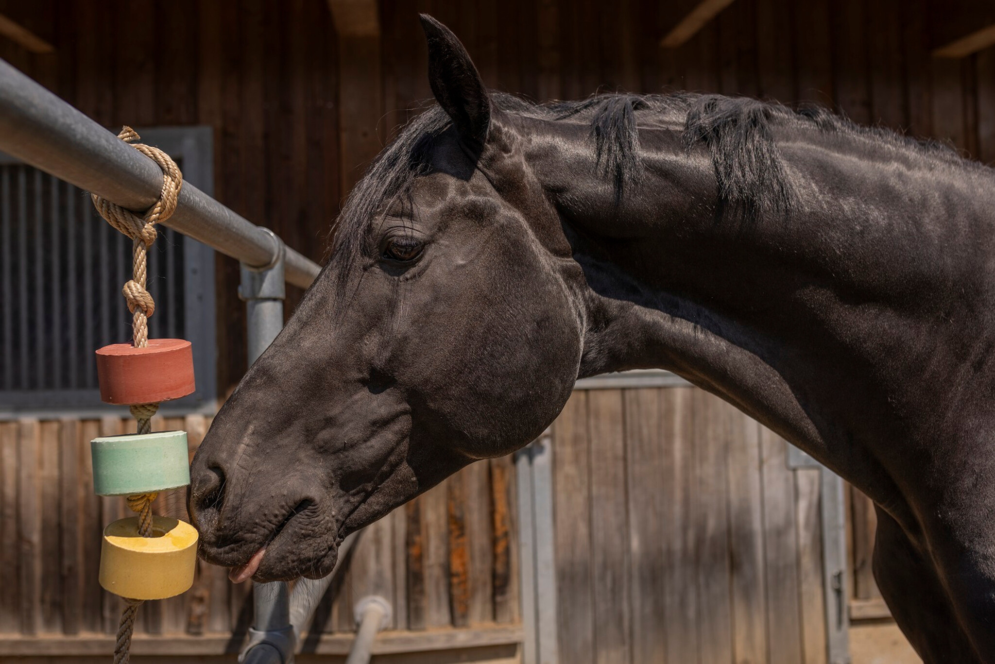 Lick block Lolly Lick Apple 750gr