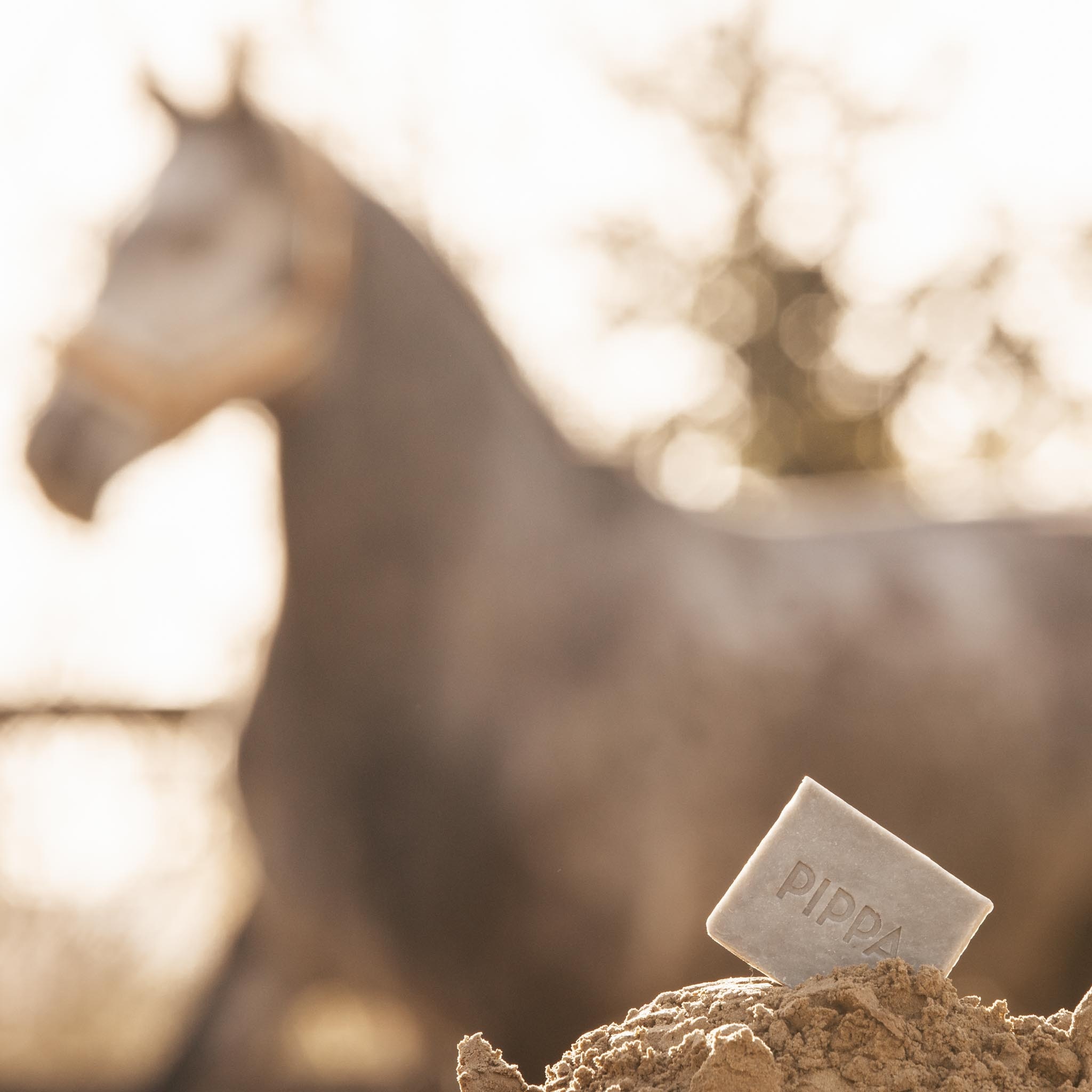 Charcoal & Peppermint shampoobar voor paard en hond