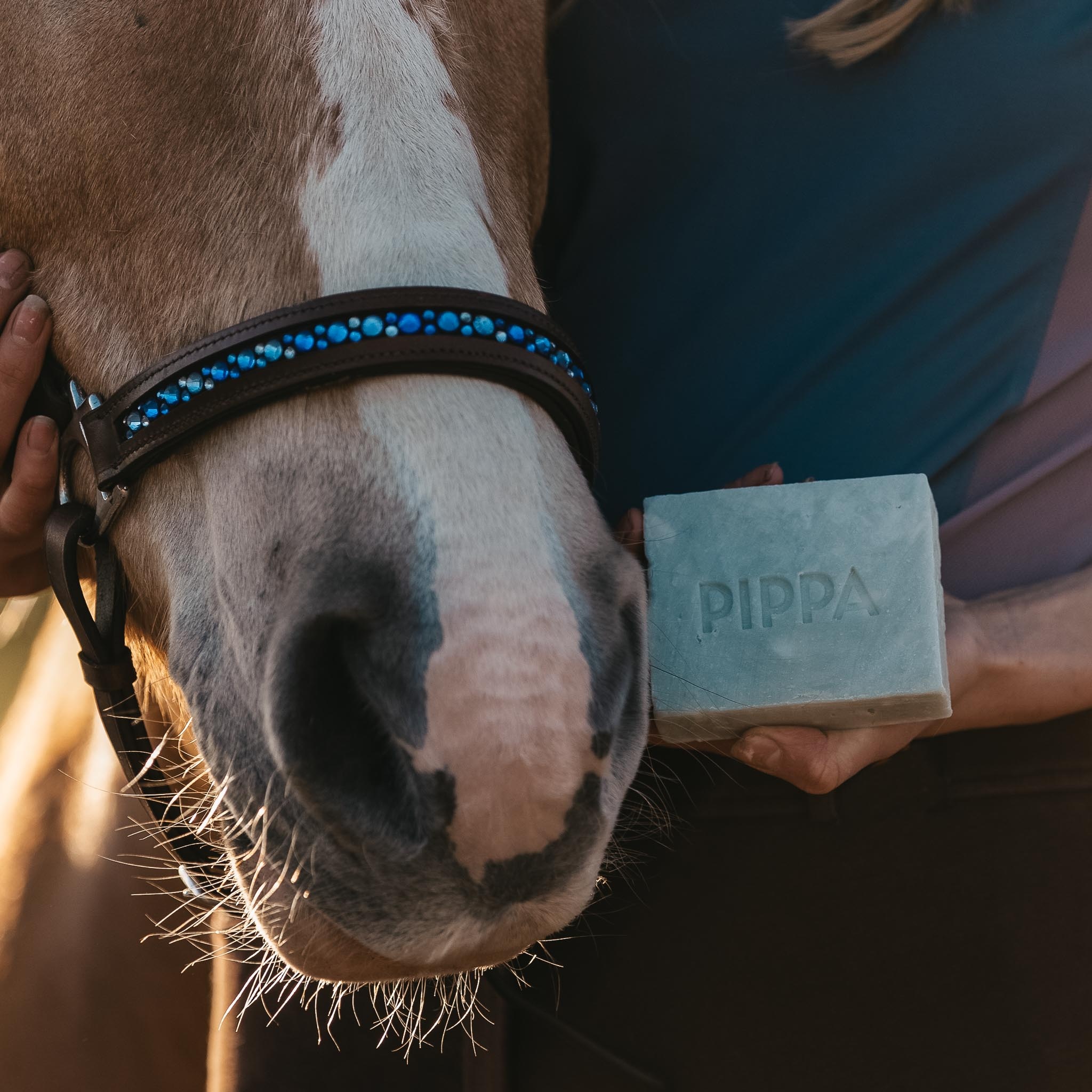 Aloe Vera & Avocado shampoobar voor paard en hond