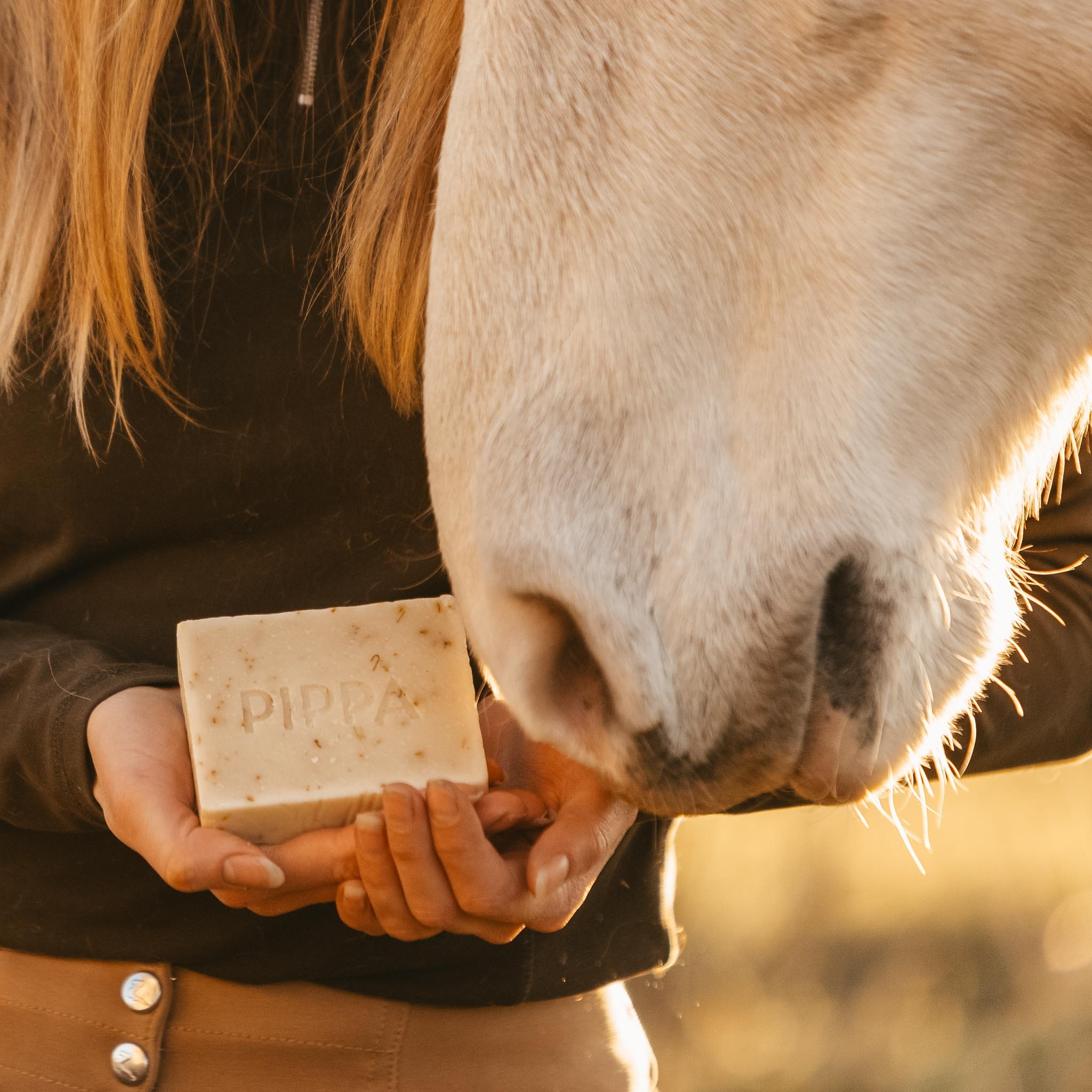 Shampoo Coconut & Marigold shampoo bar for Horses and Dogs