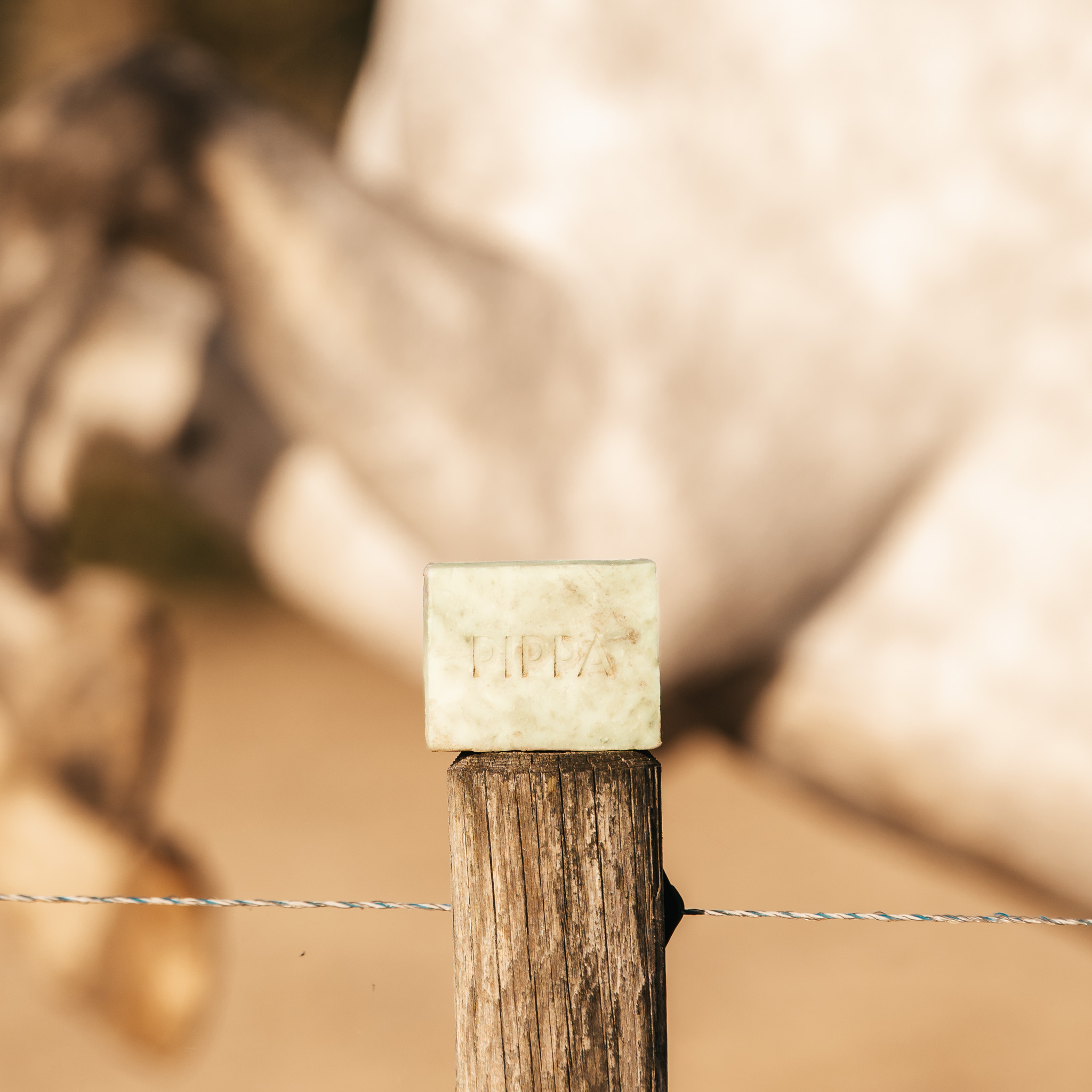 Tea Tree und Eucalyptus Shampoo-Bar Pferd