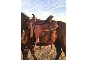 Testzadel Santos maat M