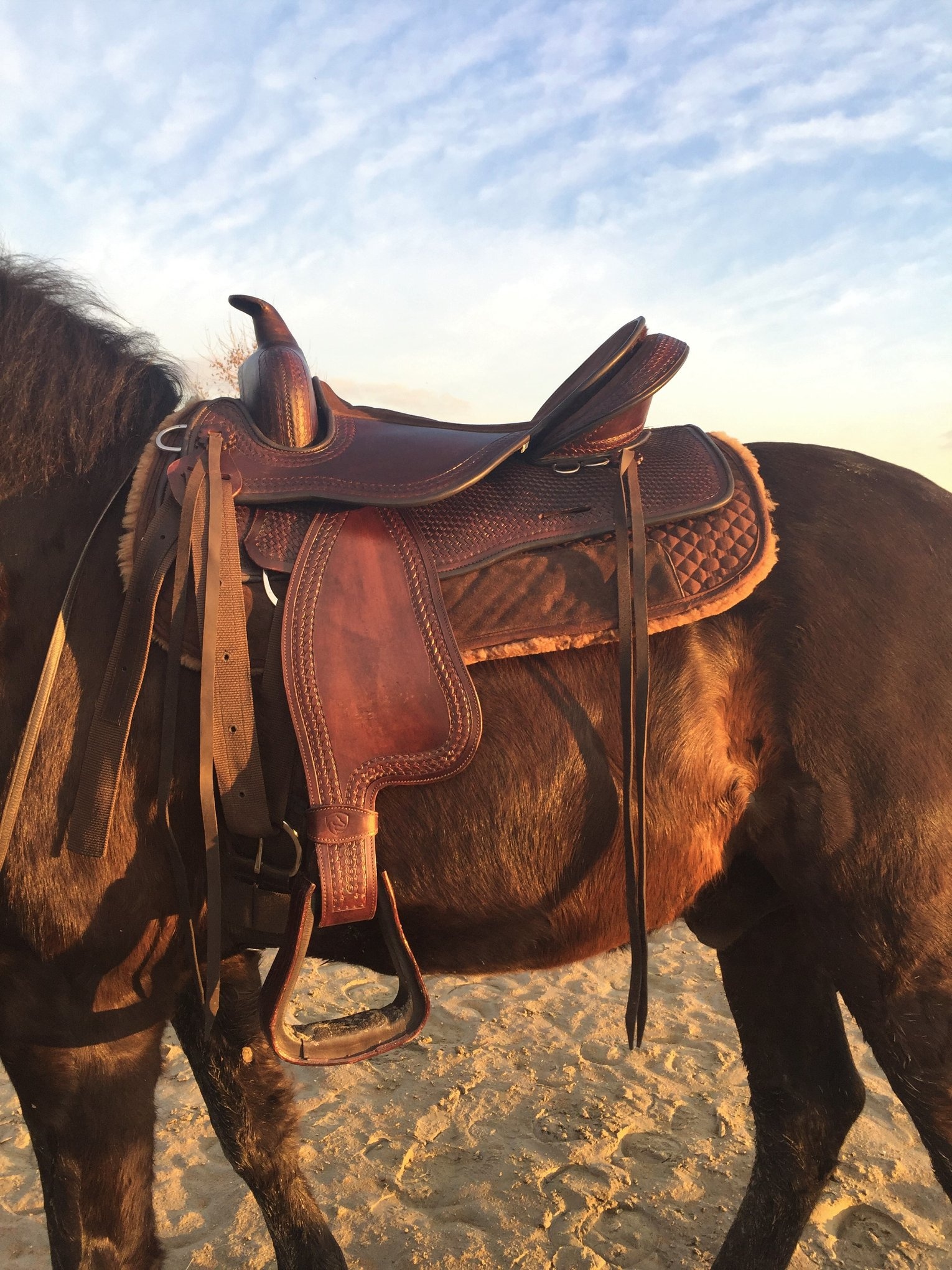 Western testzadel Santos maat M