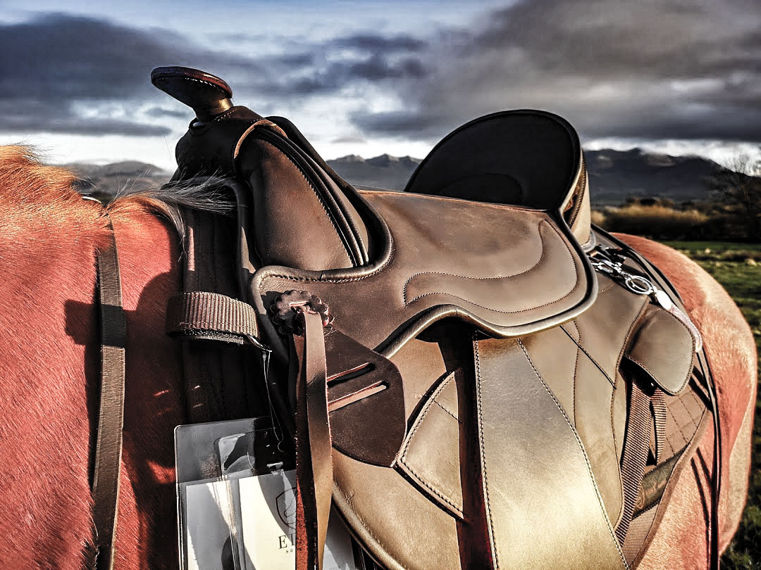 Western testzadel Tequiro maat M