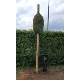 Hayfall automatische hooival