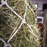 Haynet cotton 10x10cm mesh size