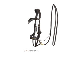 Glory kingekruist bitloos hoofdstel