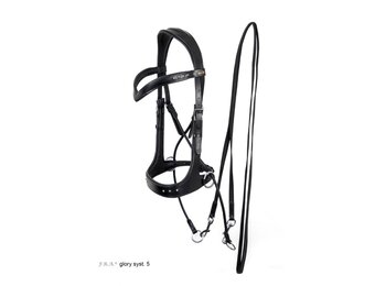 Glory kaakgekruist bitlooshoofdstel