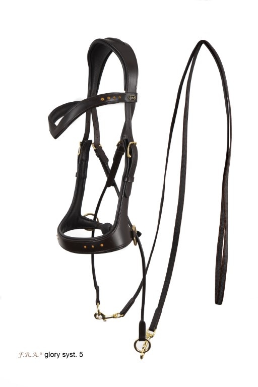 Glory jaw-crossed bitless bridle leather