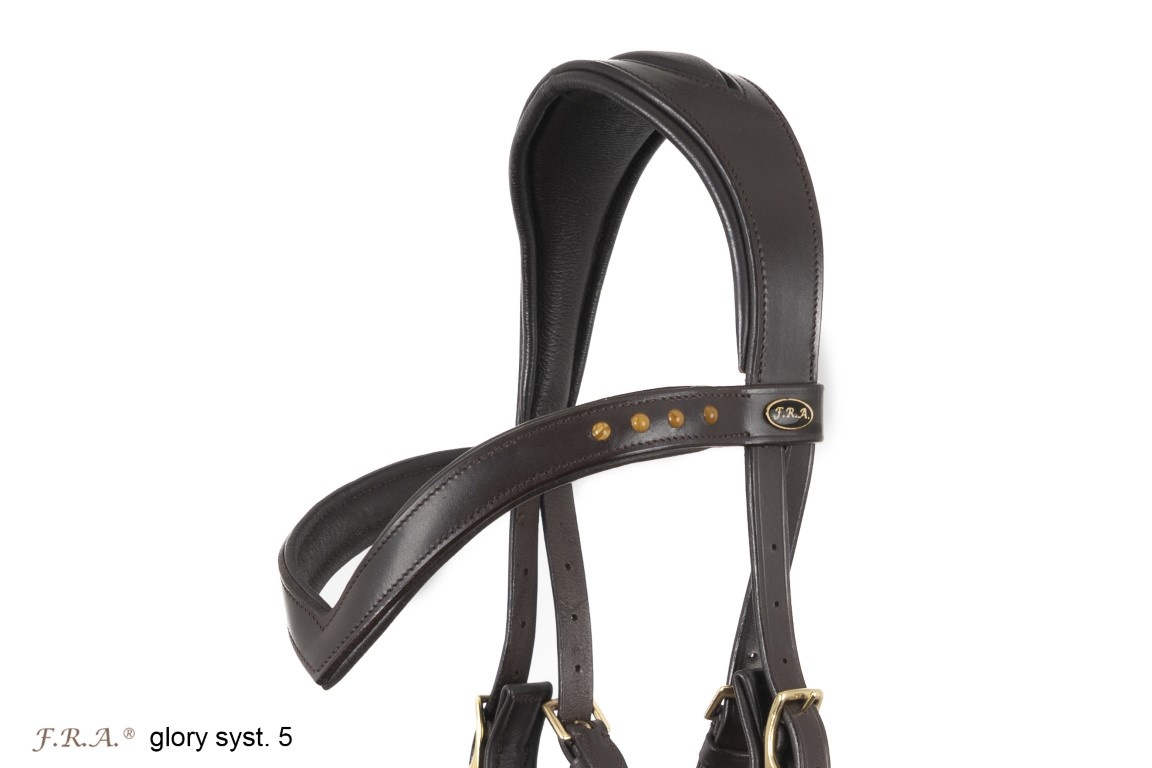 Glory jaw-crossed bitless bridle leather