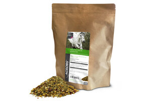 Kräuter Bewegung Pferd