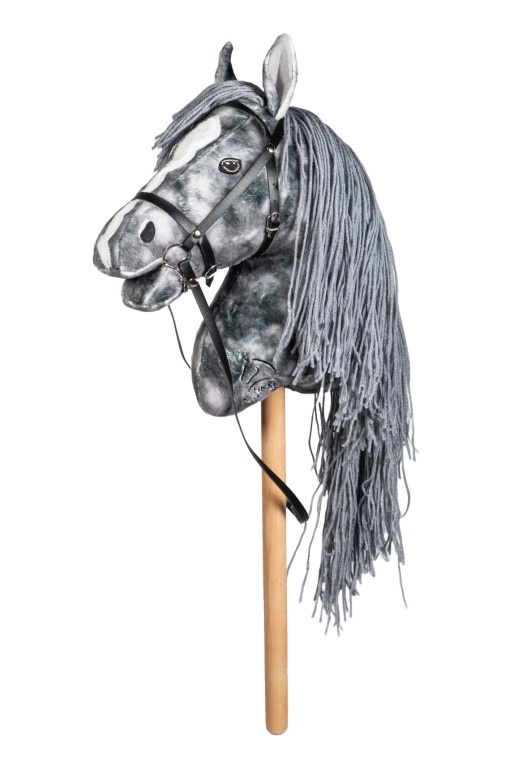Hobby Horse Steckenpferd