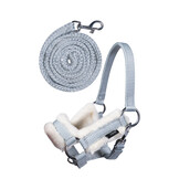 Halfter und Strick fur Hobby Horsing