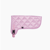 Rug for Hobby Horsing