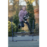 Sprung-Set fur Hobby Horsing