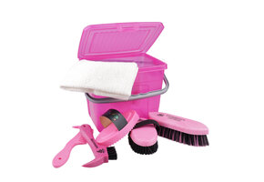 Horse cleaningset child