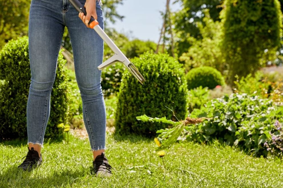 Gardena Unkrautstecher ohne Bücken