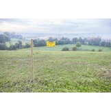 Weidezaunseil EconomyLine Kunststoff aus Recyclingmaterial